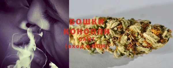 бутират Белокуриха
