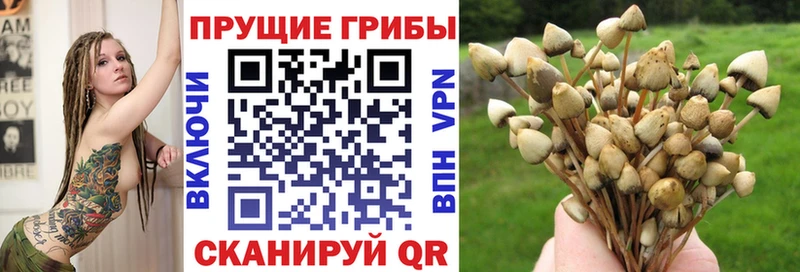 Галлюциногенные грибы прущие грибы  цены   Менделеевск 